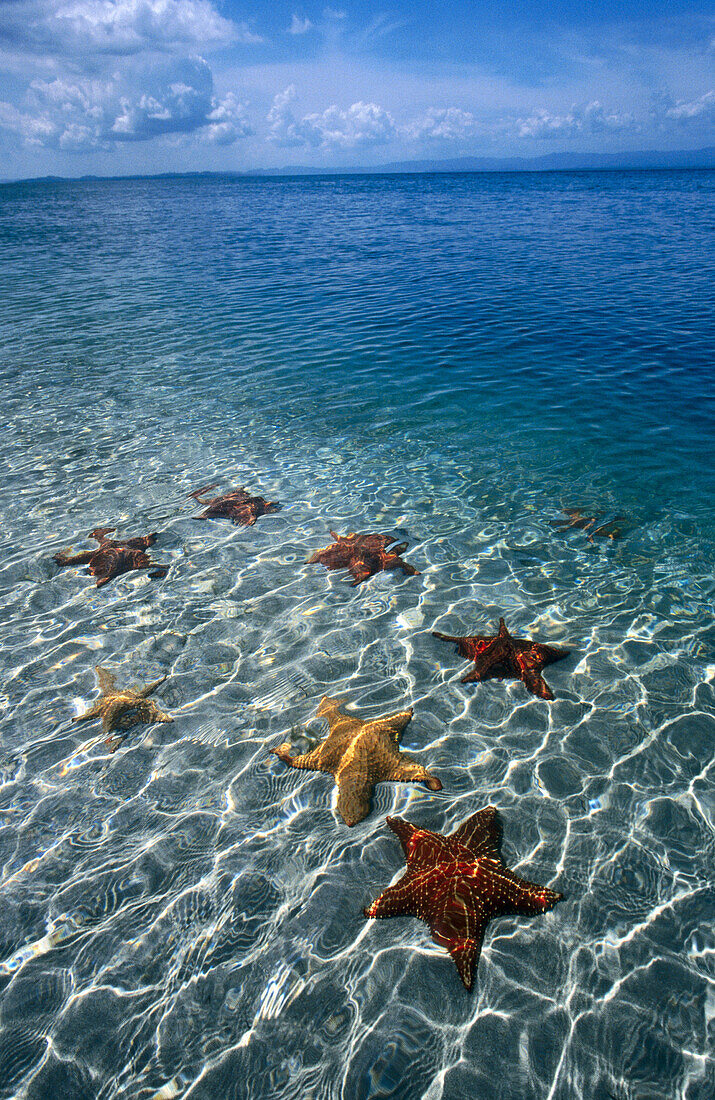 Colon Island. Bocas del Toro. Panama.