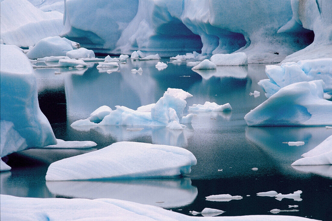 Icebergs. Glacier Perito Moreno. Los Glaciares National Park. Patagonia. Argentina