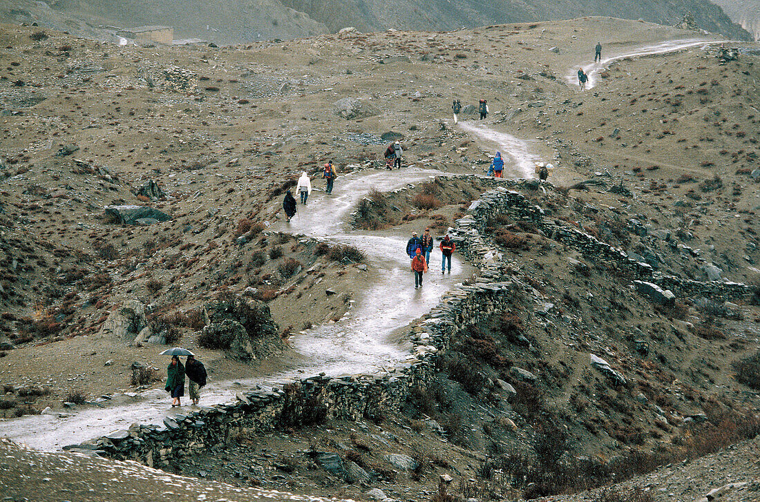 Trekking. The Himalayas. Nepal