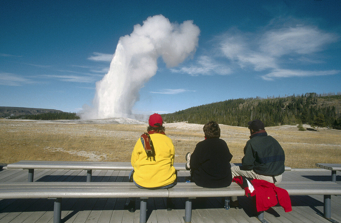 Yellowstone National Park. USA