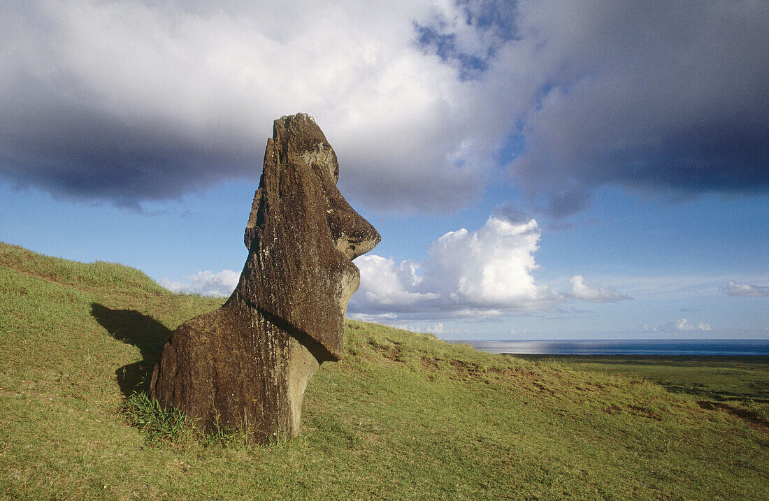 Moai quarry. rano raraku. Easter Island. Chile.