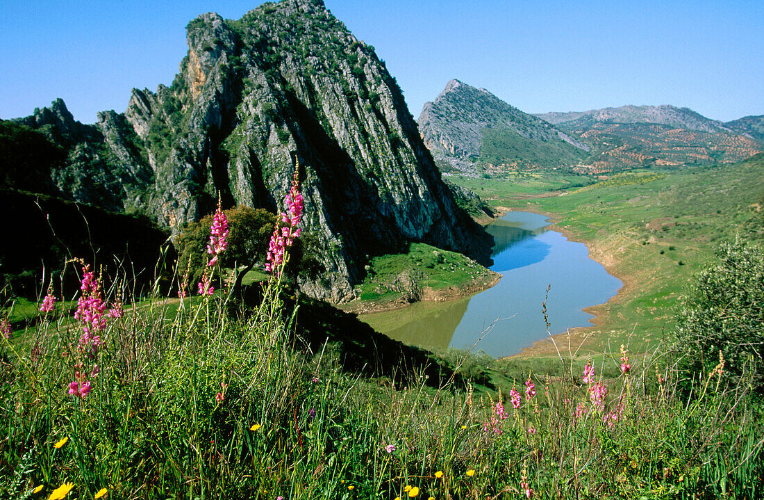 Sierra de Grazalema Natural Park. Cadiz province. Andalucia. Spain