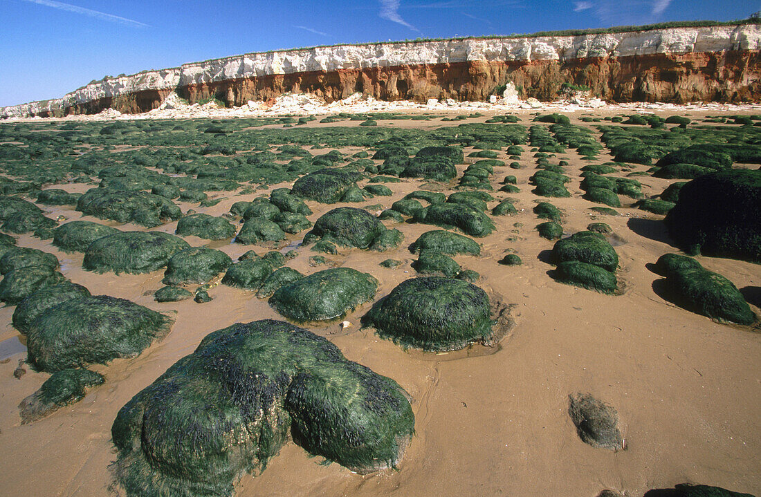 Sandstone and chalk cliffs. Hunstaton. Norfolk. England. UK