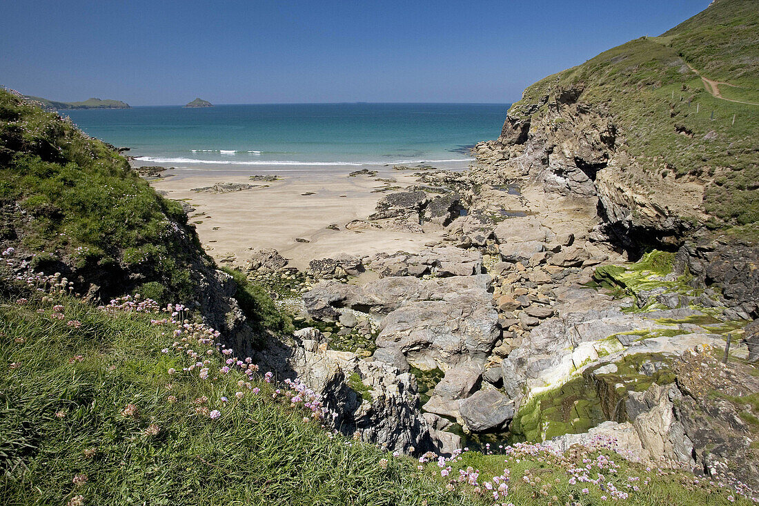 Trevan. Port Quin. North Cornwall. England. UK.