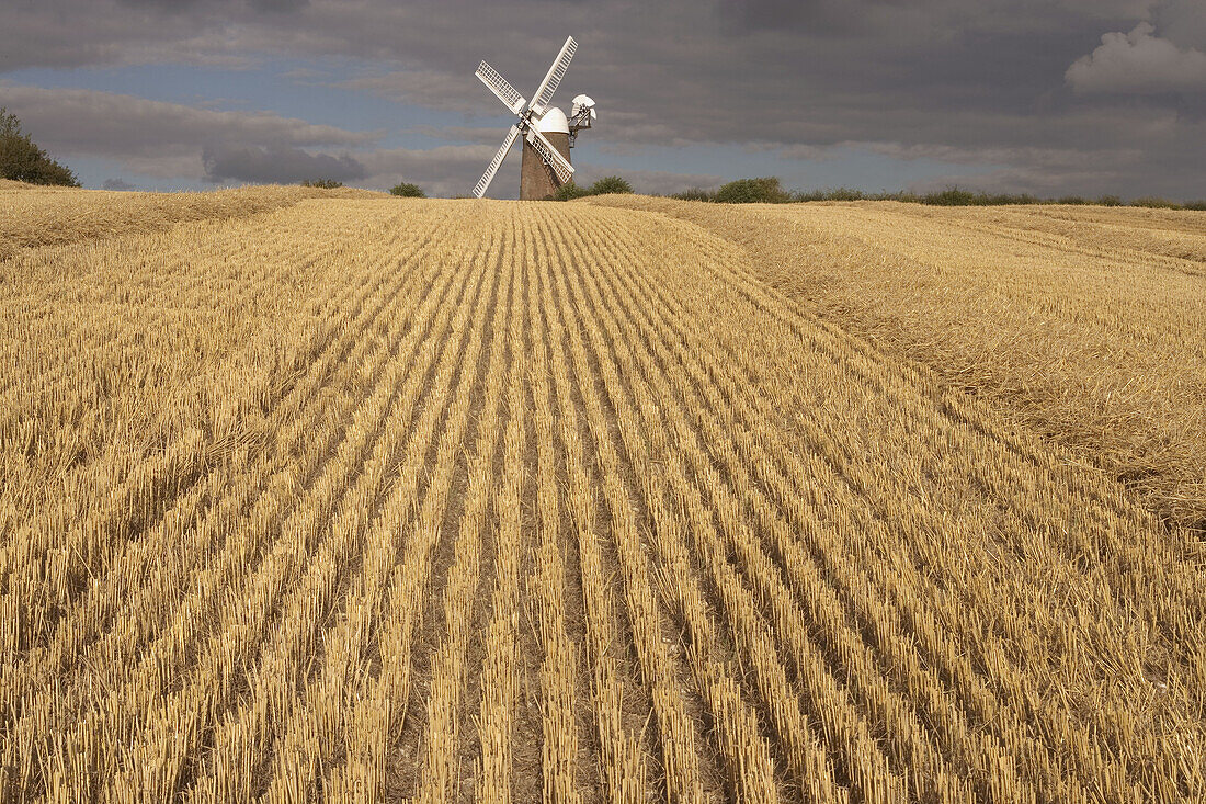 Wilton Windmill Near Hungerford Berkshire UK