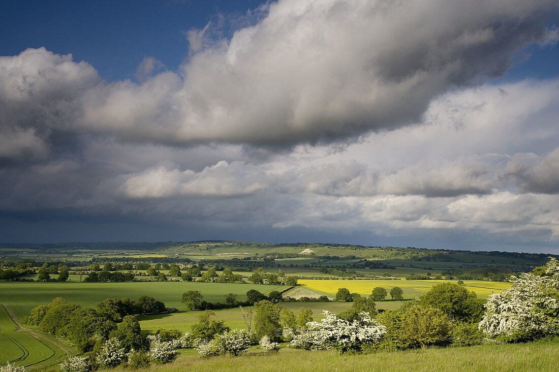 Stormy Weather Ivinghoe Hills Chilterns UK