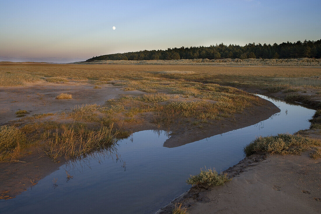 Rising Moon. Holkham Beach. Norfolk. UK