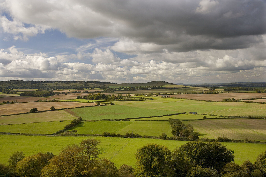 Ivinghoe Beacon from Whipsnade down Beds. England. UK.