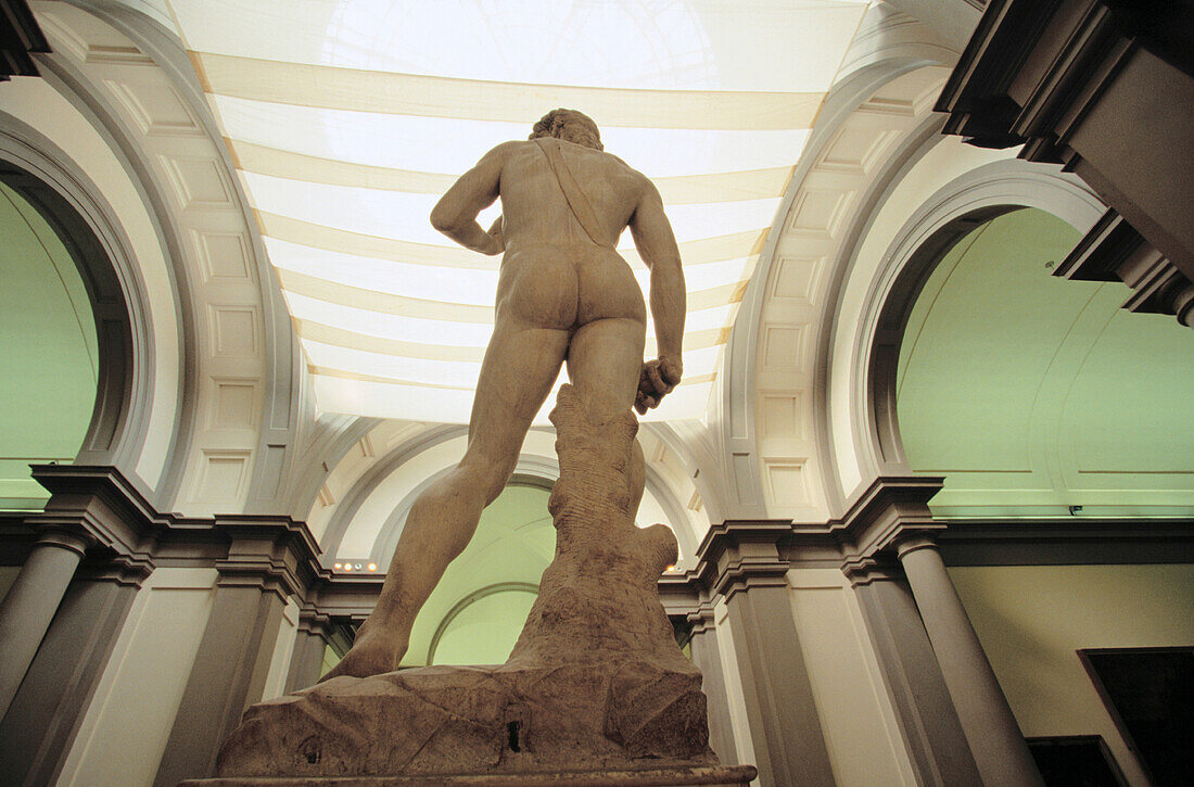 Michelangelo s David. Academy Gallery. Florence. Italy