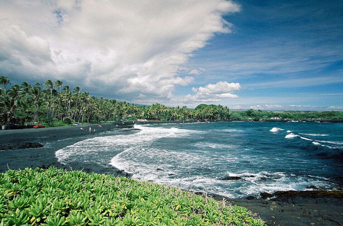 Beach. Hawaii. USA