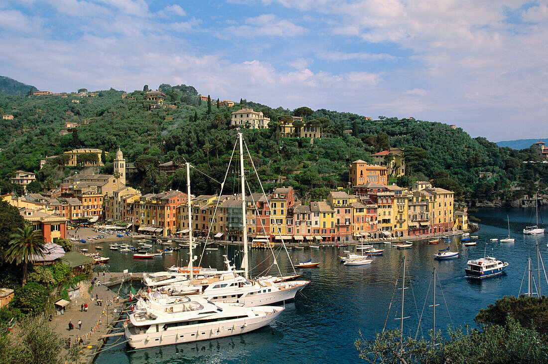 Harbor. Portofino. Liguria. Italy