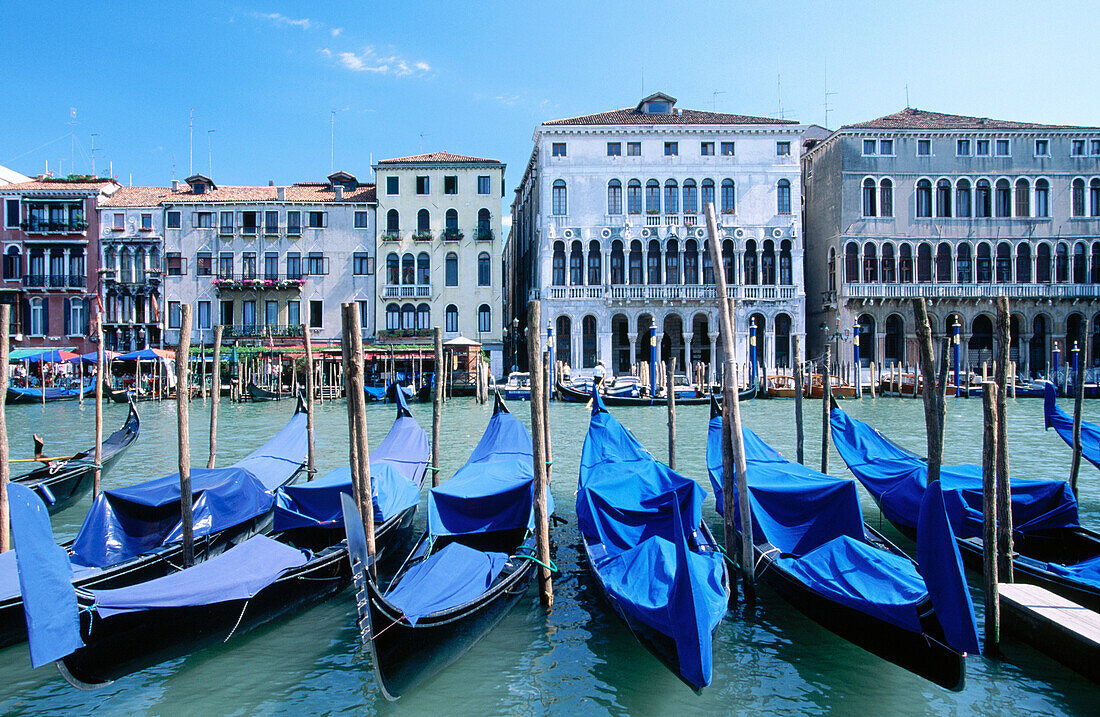 Gondolas. Venice. Italy