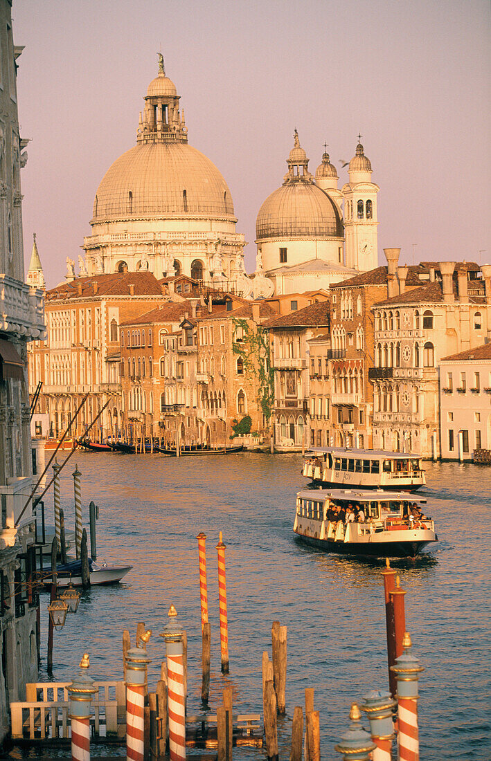 Santa Maria della Salute from Gran Canal. Venice. Italy