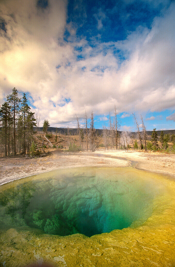Morning Glory Pool. Yellowstone National Park. Wyoming. USA