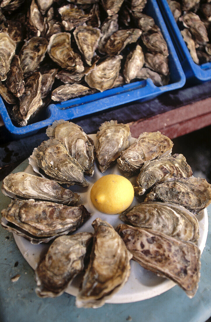 Fines de Claire , Cancale oysters. Brittany. France