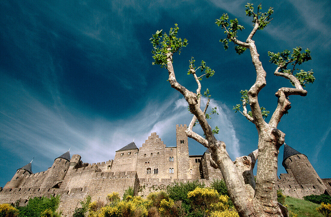 Carcassone, medieval city walls. Languedoc-Roussillon. France