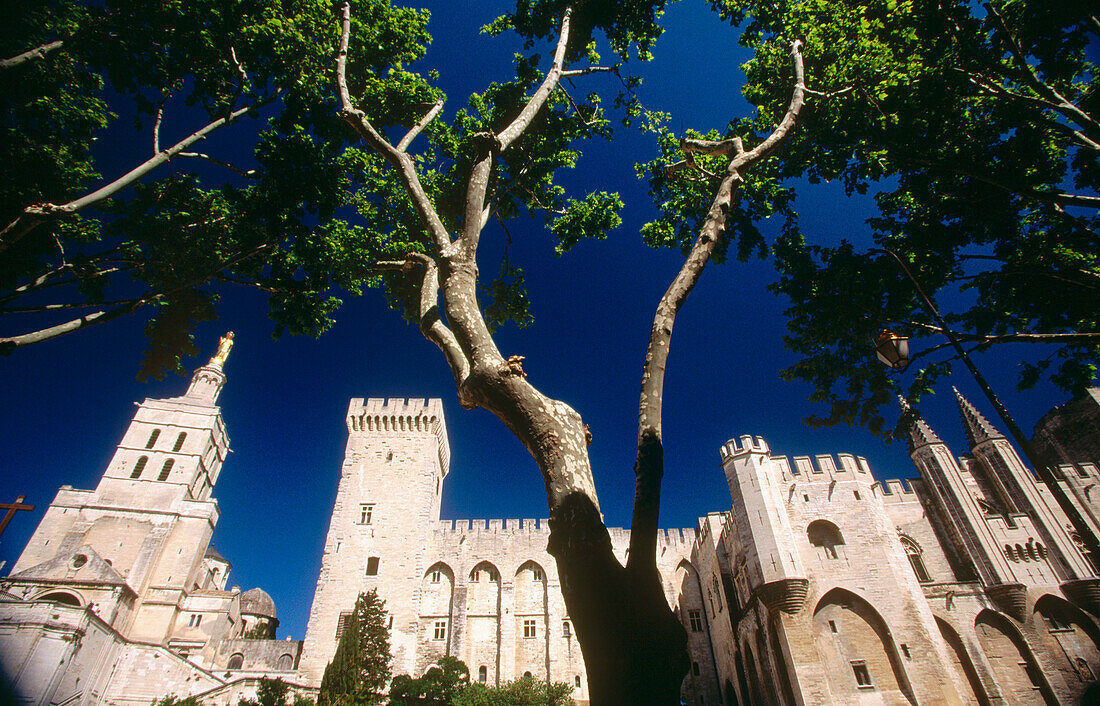 Papal Palace. Avignon. Provence. France