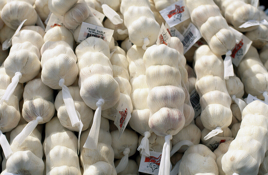 Garlic. Jean Talon Farmer s Market. Montreal. Quebec. Canada