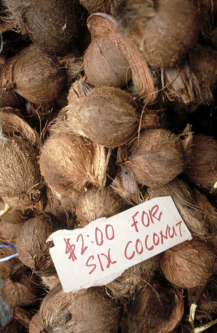 Coconuts for Sale in Nadi Town Market. Viti Levu Island. Fiji