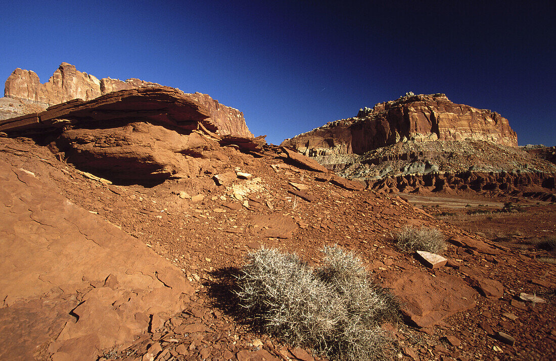 Twin Rocks area landscape. Capitol Reef National Park. Utah. USA