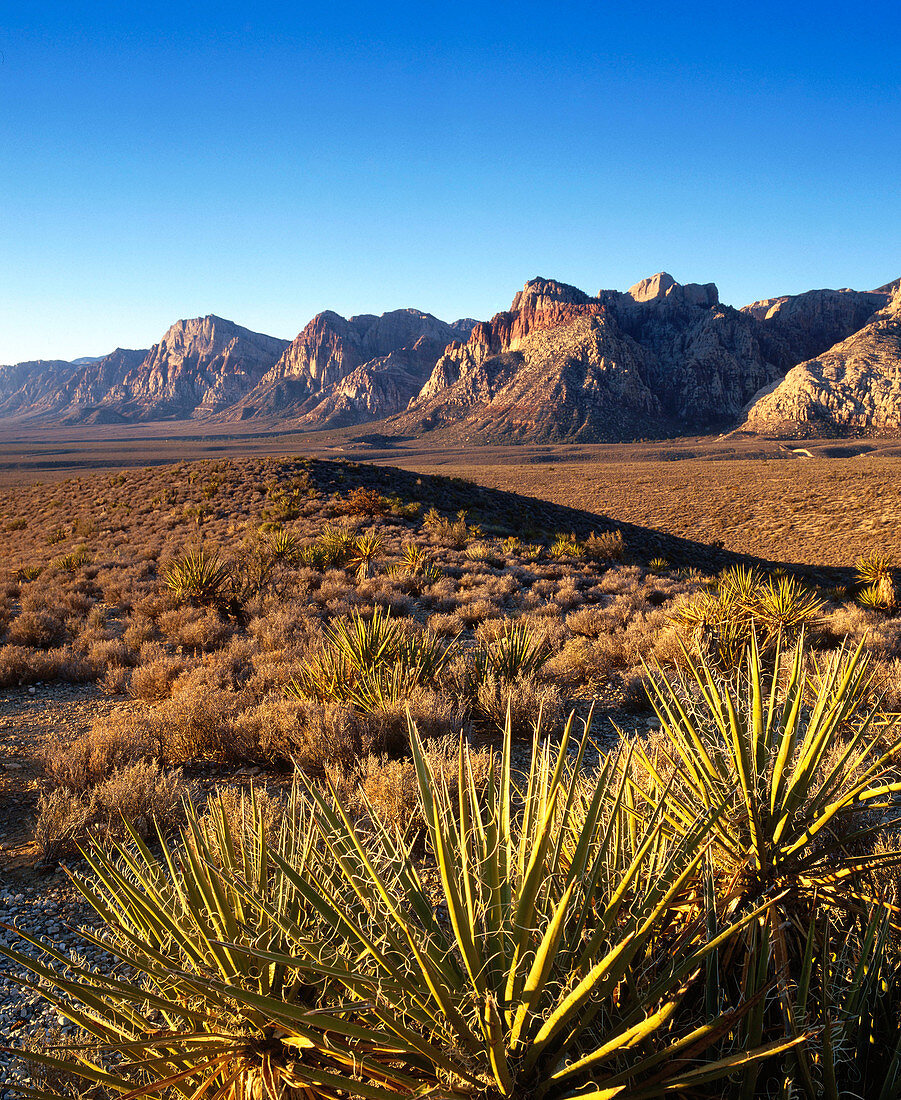 View of the Spring Mountains in the Red Rock Canyon. Nevada. USA