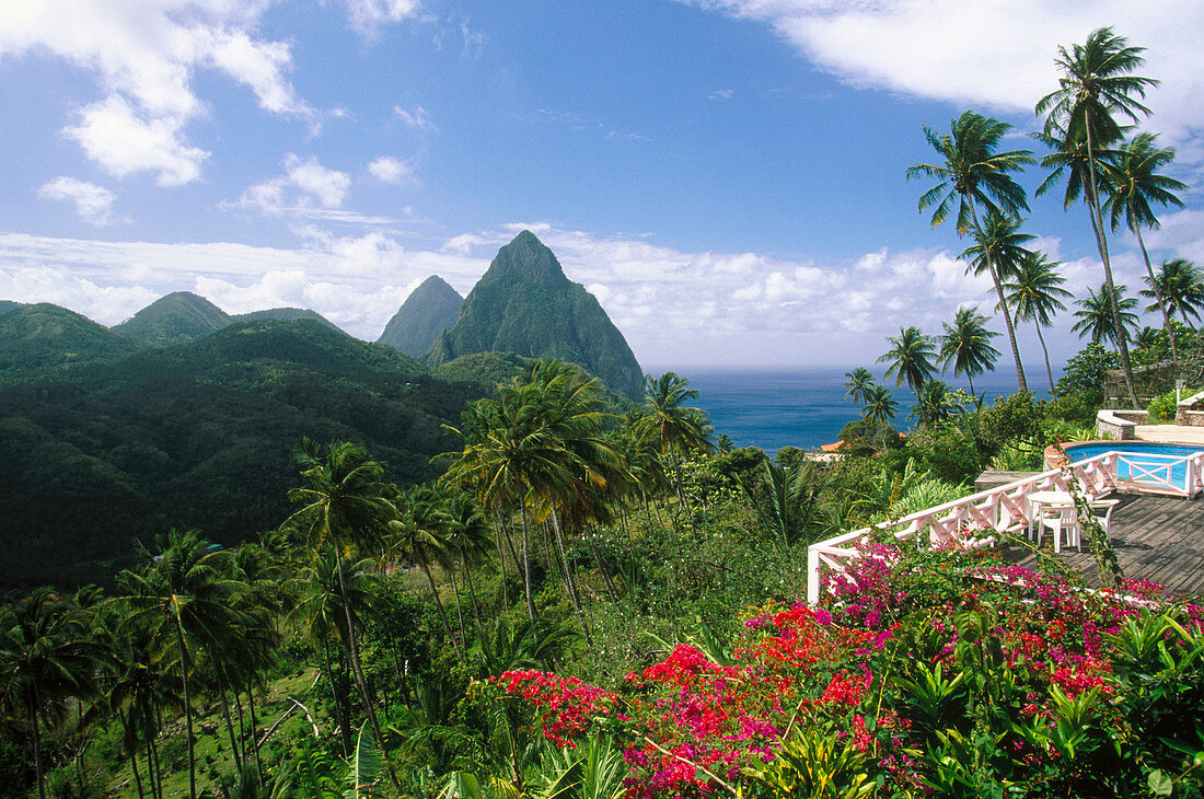 Morning view of The Pitons from La Haut Plantation Hotel. Soufriere. Santa Lucia. West Indies. Caribbean