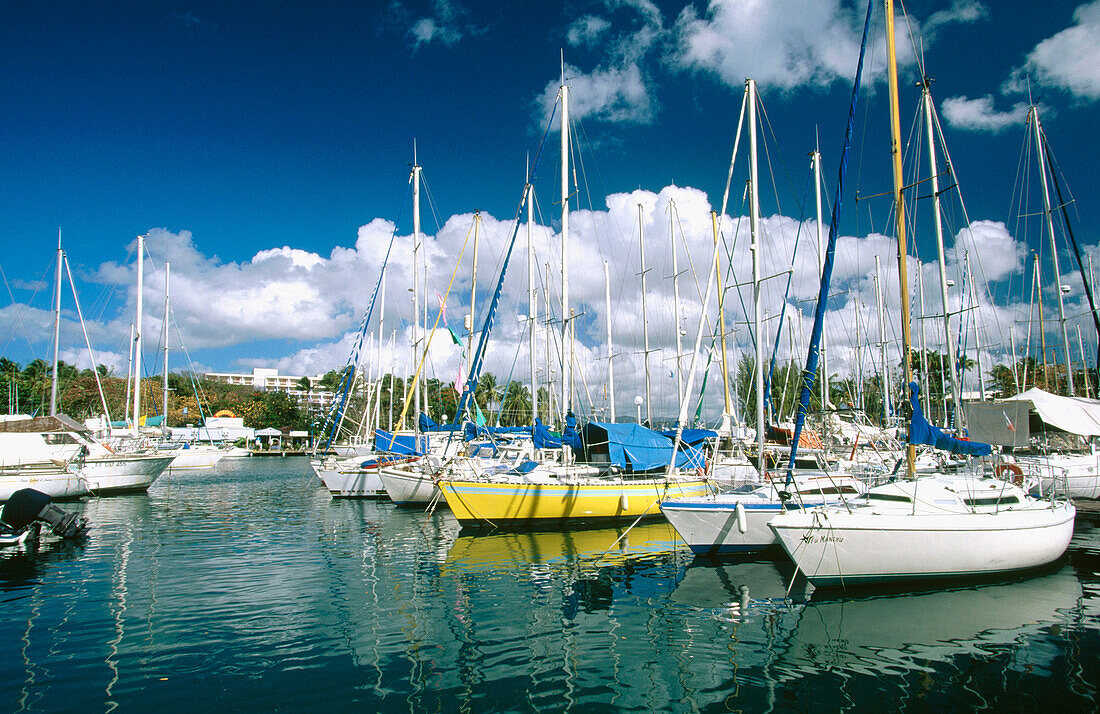 Resort marina. Pointe du Bout. Martinique. French West Indies. Caribbean