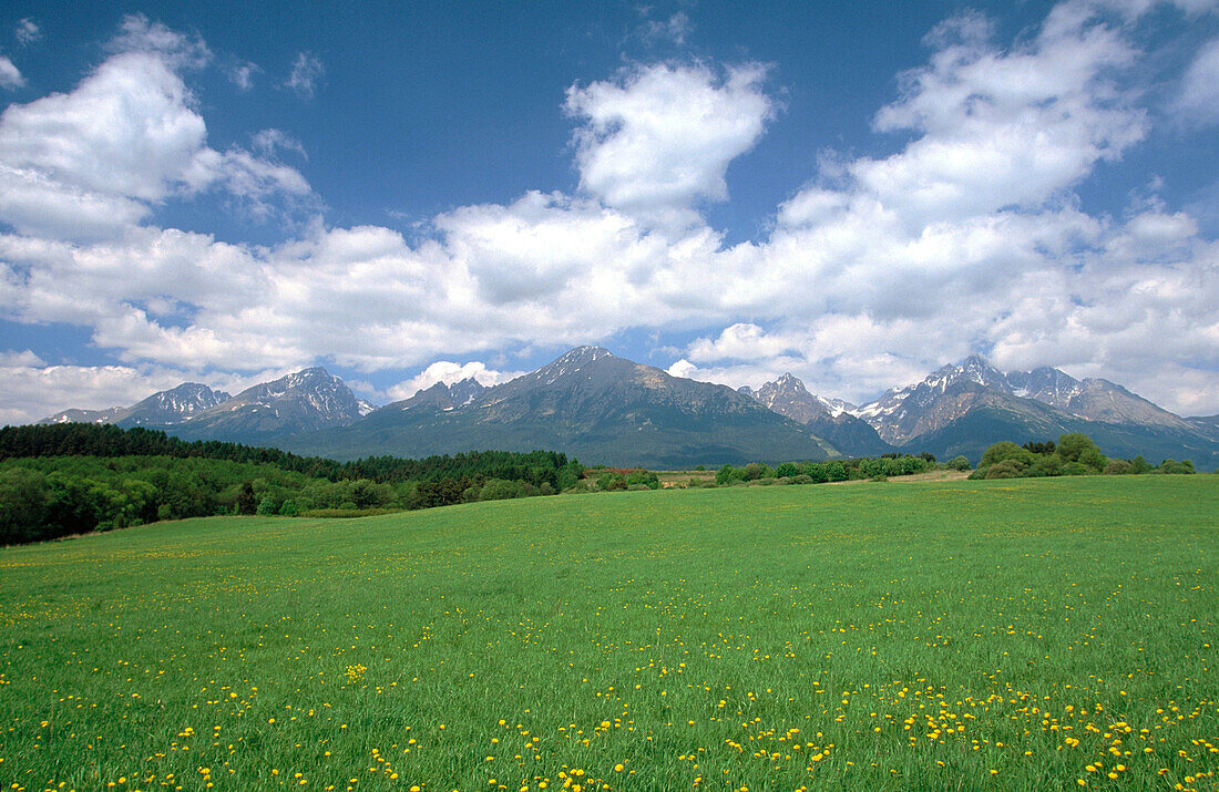 High Tatras (near Poprad). Slovakia
