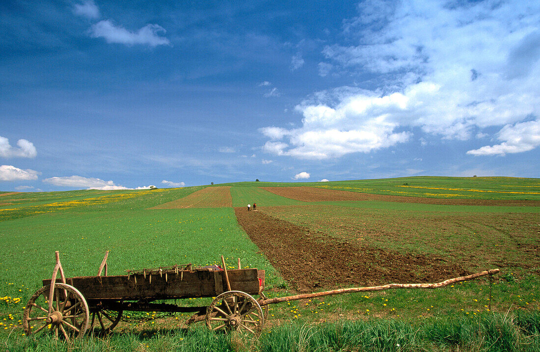 Spring plowing near Trybsz. Carpathian Mountains. Poland