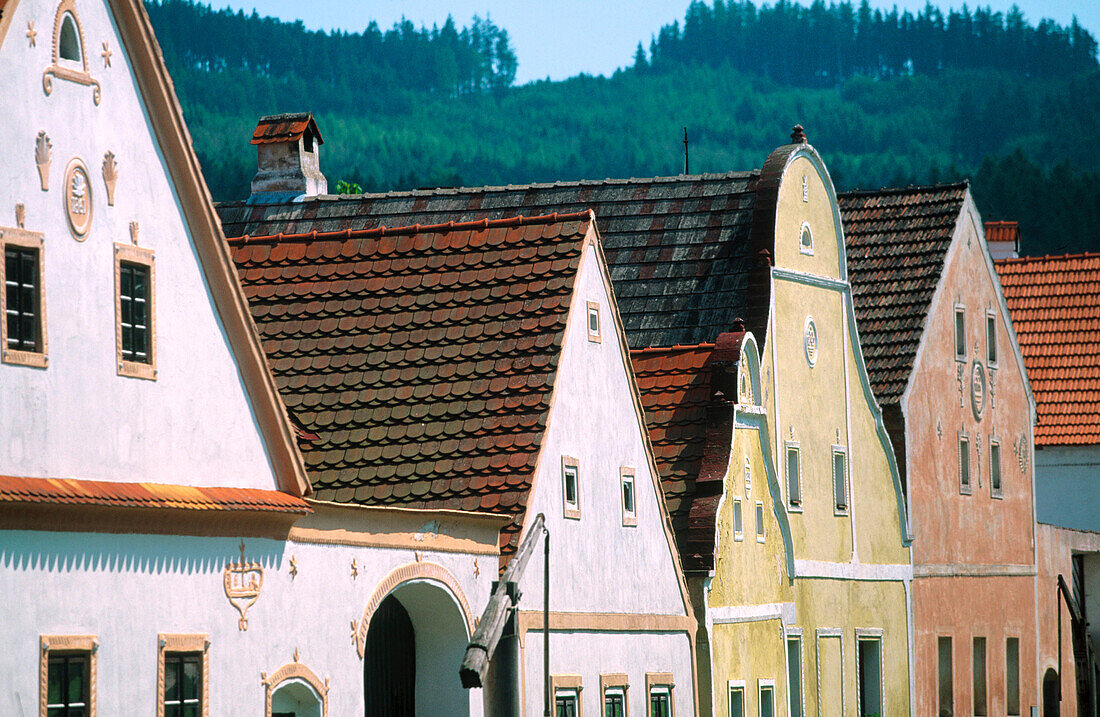 Barn and house details. Folk Baroque style (19th century). Holasovice. South Bohemia. Czech Republic