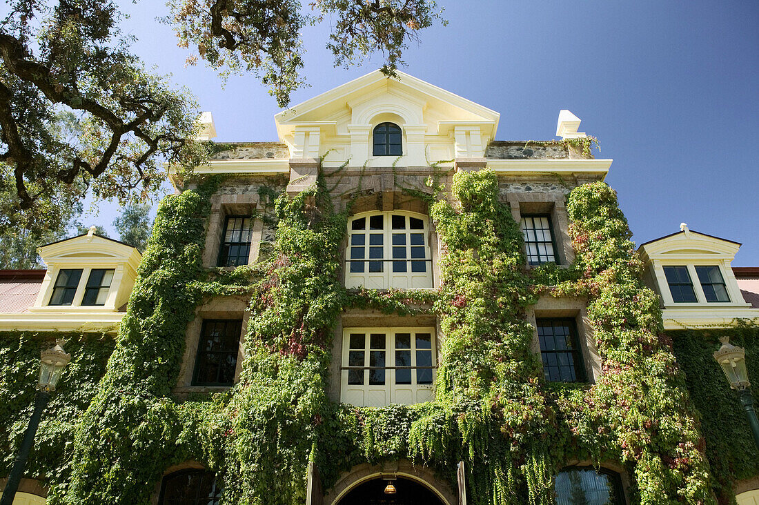 Niebaum-Coppola Estate Winery in Rutherford. Napa Valley. California, USA