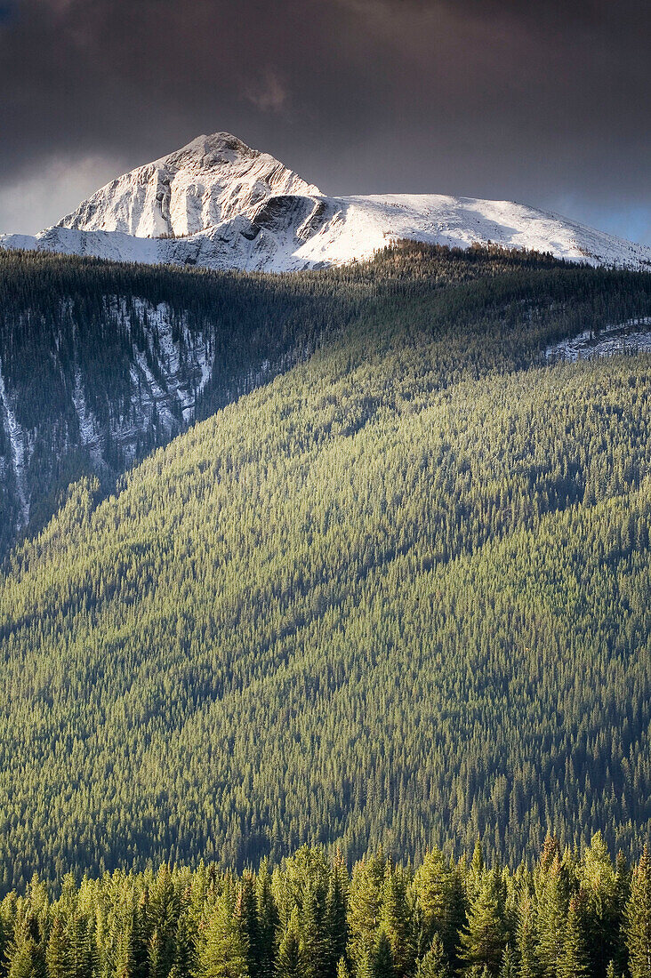 Early winter mountainscape. Banff National Park. Alberta, Canada
