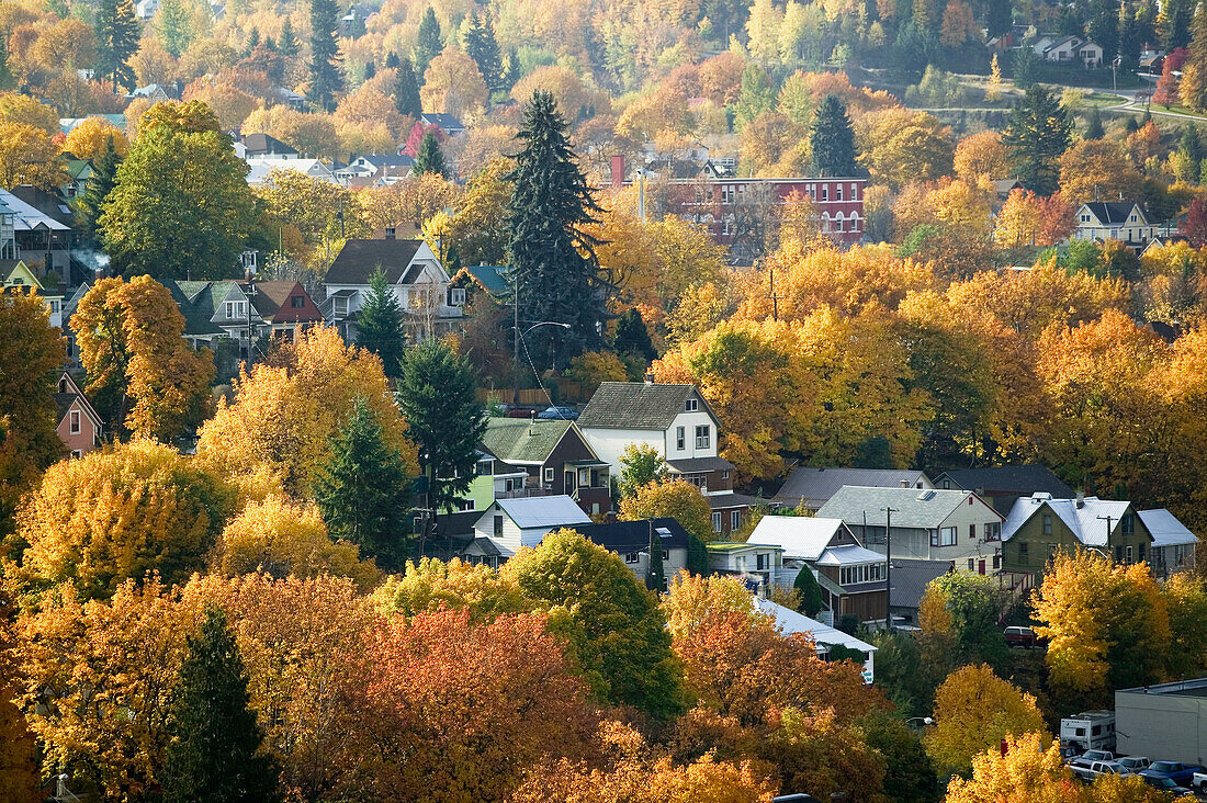 Autumn view of town from Gyro Park. Nelson. British Columbia, Canada