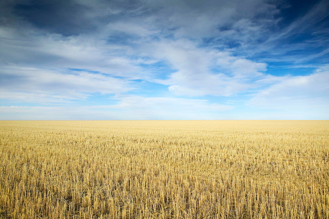 Autumn landscape. Lumsden. Saskatchewan, Canada