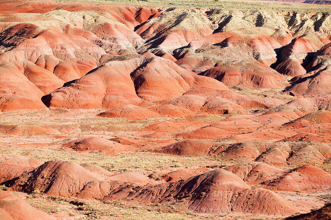 Painted Desert from Tiponi Point, Petrified Forest National Park. Arizona, USA