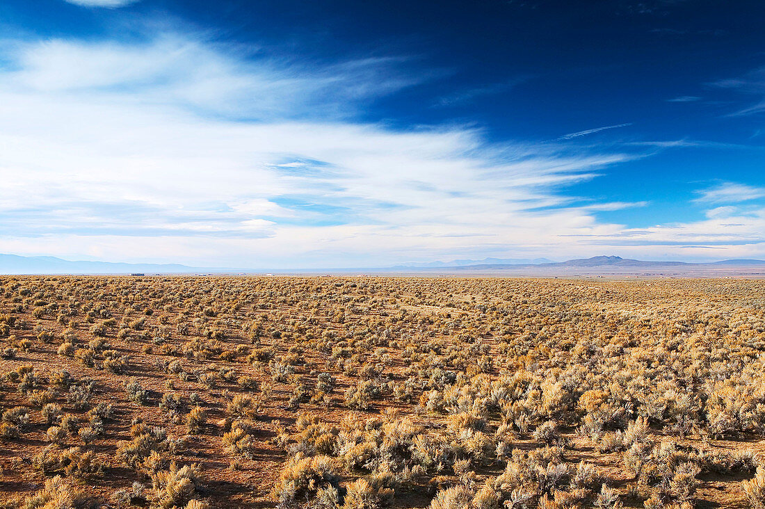 Taos landscape by Arroyo Seco. Taos. New Mexico, USA