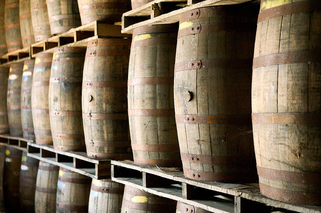 Bahamas, New Providence Island, Coral Harbour: Bacardi Rum Factory, Rum Aging Casks