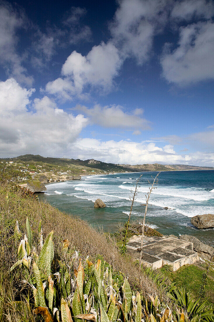 Barbados, North East Coast, Bathsheba: View of Soup Bowl Beach, Prime Barbados Surfing Spot