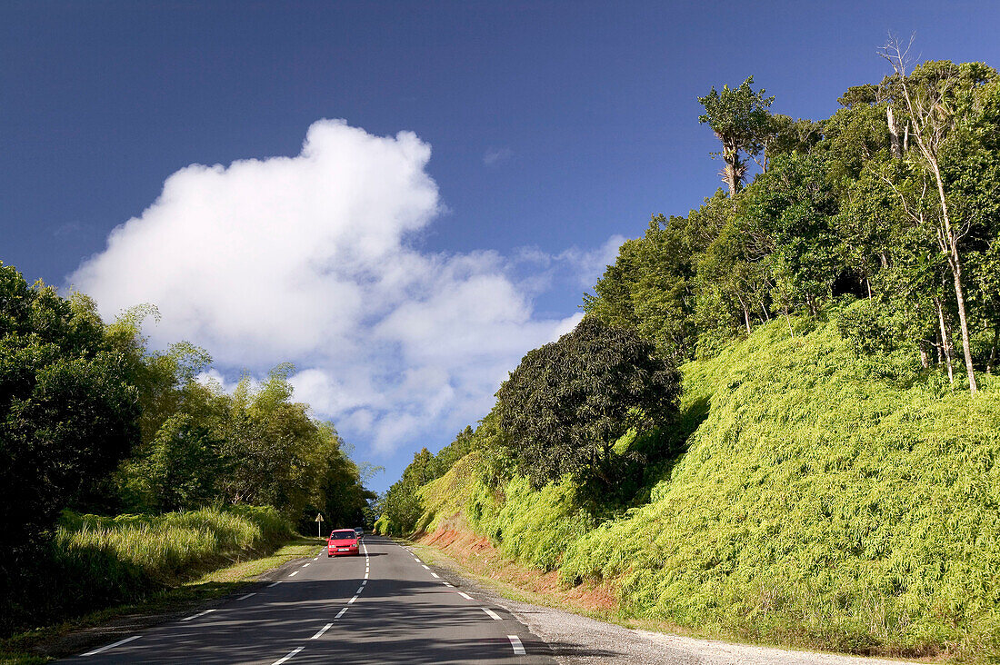 French West Indies (FWI), Guadeloupe, Basse-Terre, Route de la Traversee: Route de la Traversee (D 23), Highway across central Basse-Terre