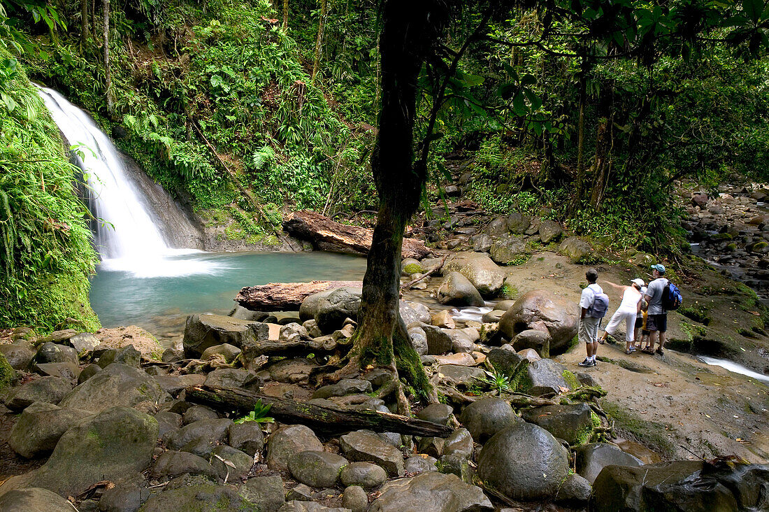 French West Indies (FWI), Guadeloupe, Basse-Terre, Route de la Traversee: Parc Nationale de la Guadeloupe: Cascade aux Ecrevisses Waterfall. with Visitors
