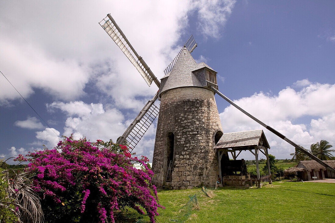 French West Indies (FWI), Guadeloupe, Marie-Galante Island, Bezard: Moulin Bezard- Still working windmill built in 1814