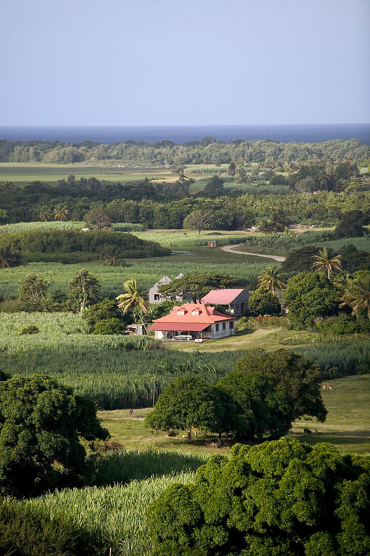 French West Indies (FWI), Guadeloupe, Marie-Galante Island, Desmarais: Red Roofed Cottage, West Coast