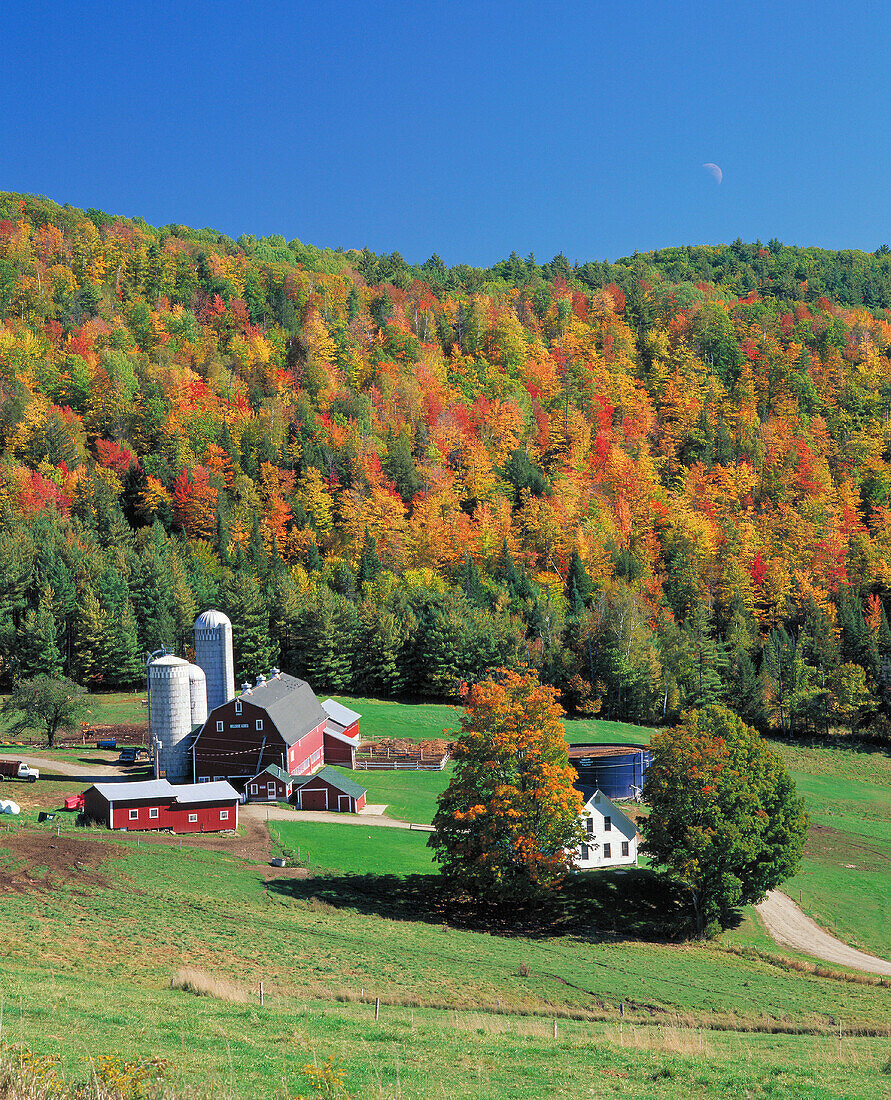 Farm in the Northeast Kingdom area, West Barnet, Vermont, USA