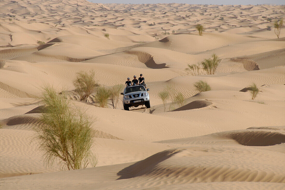 Offroad 4x4 Sahara Reisen, Wüsten Tour mit Geländewagen, Bebel Tembain, Sahara, Tunesien, Afrika, mr