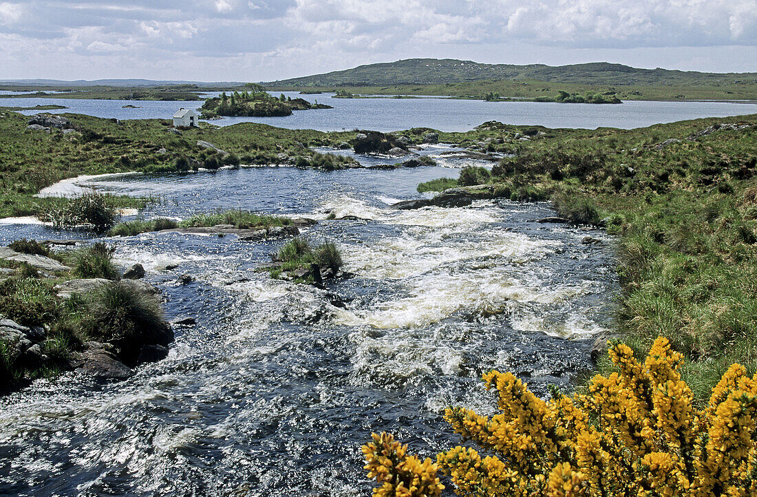 Torrent, near Ahalia Lake. Connemara. Co. Galway. Ireland.