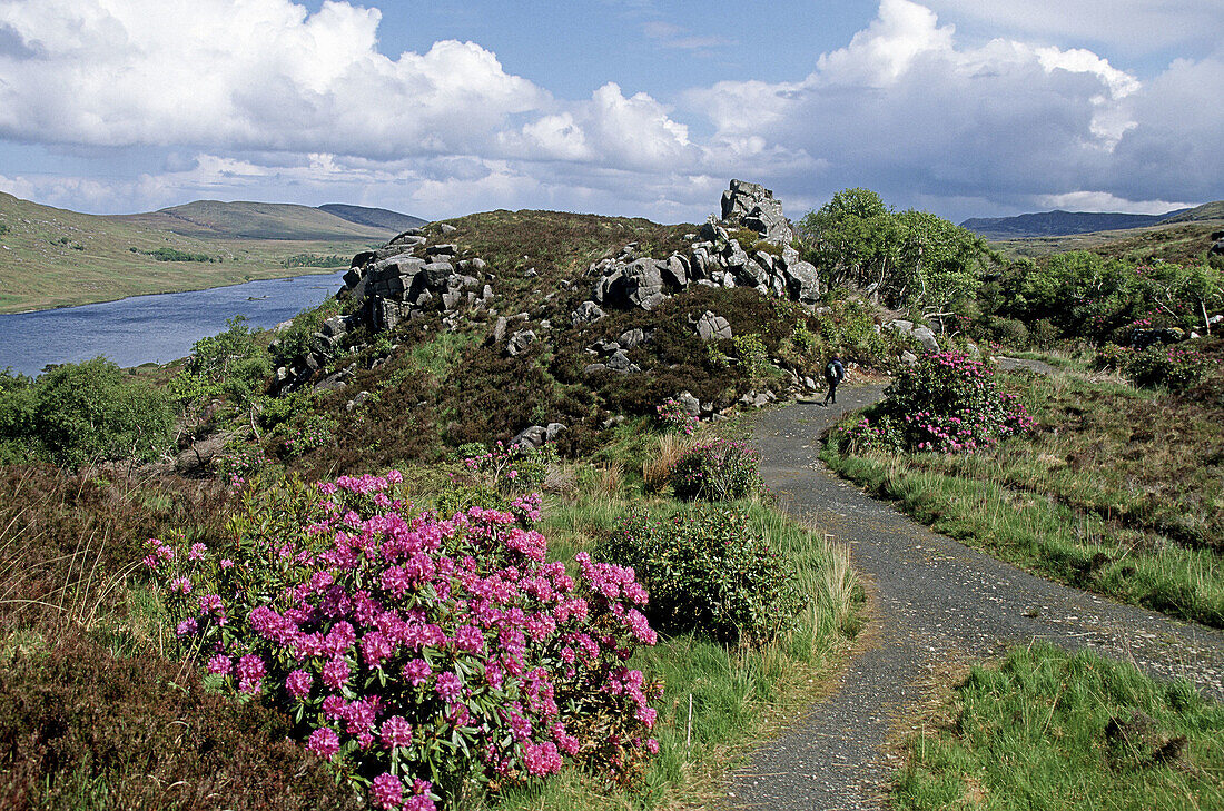 Glenveagh National Park. Co. Donegal. Ireland.