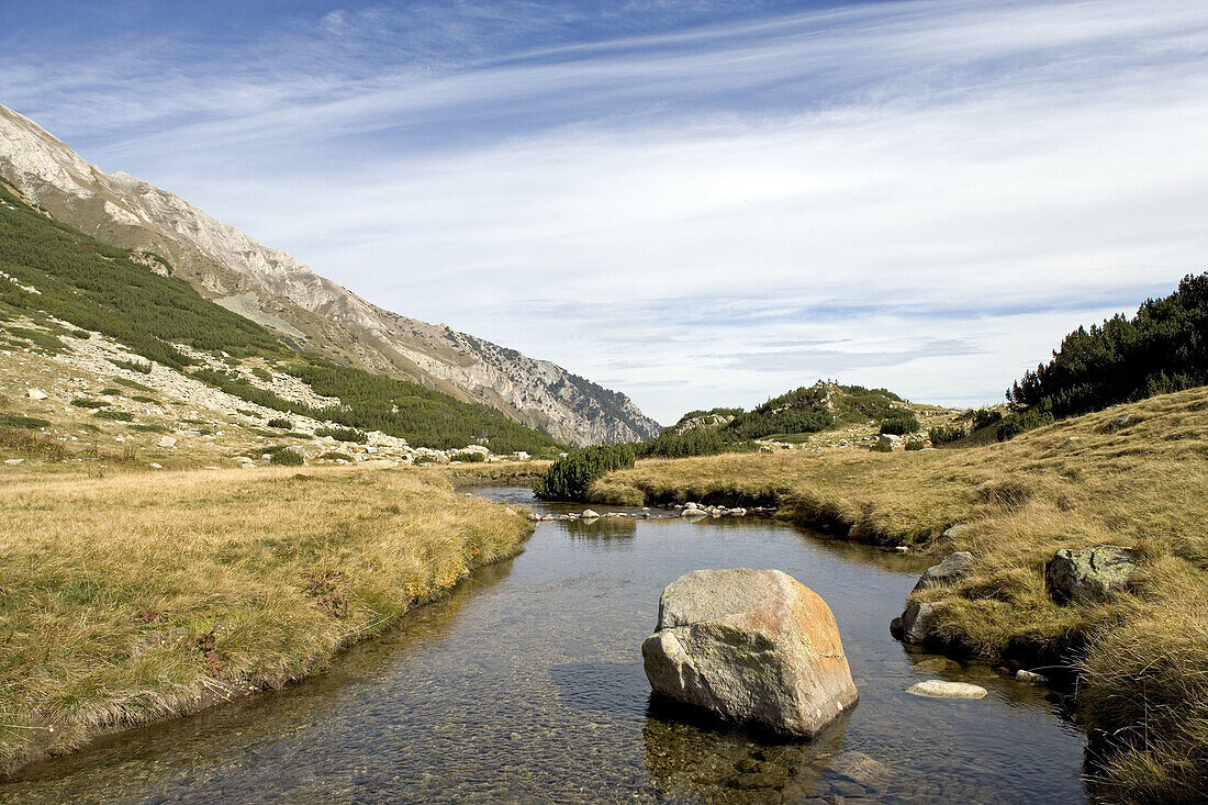 Pirin National Park. Bansko region, Bulgaria