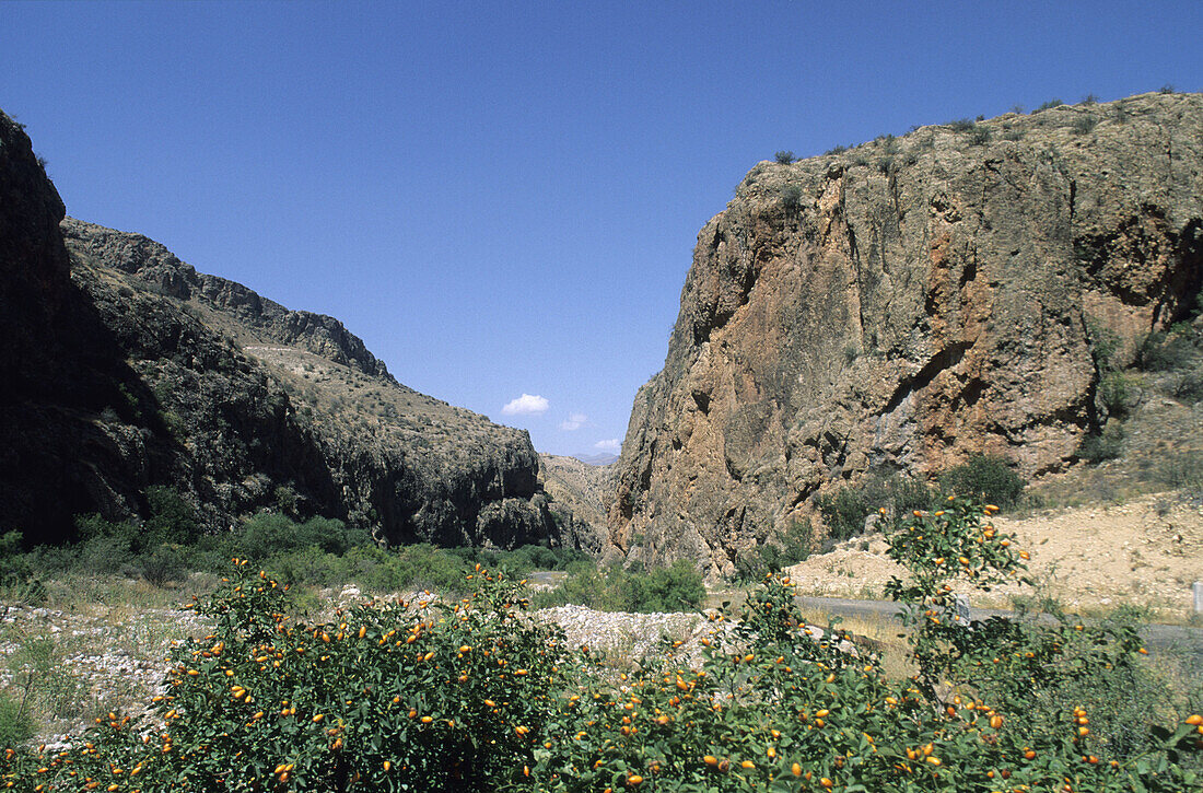 Landscape. South Armenia