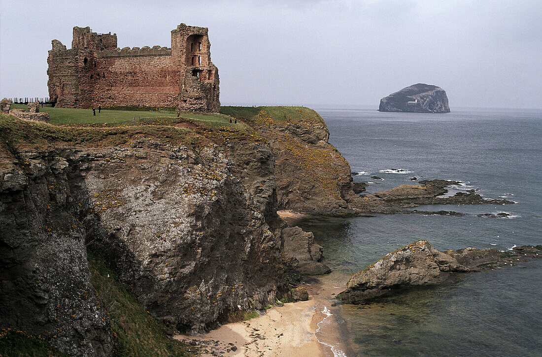 Tantallon castle. East Lothian. North Berwick. Bass Rock. Scotland. UK.