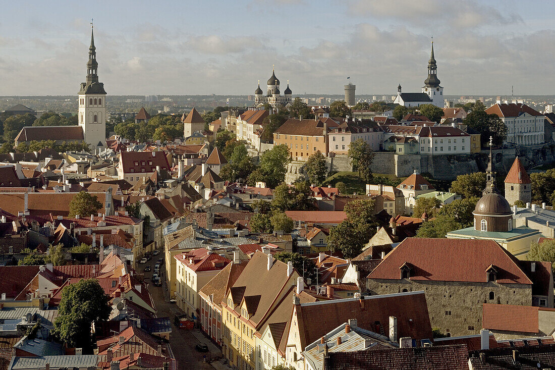 View from St. Olaf church. Tallinn. Estonia.